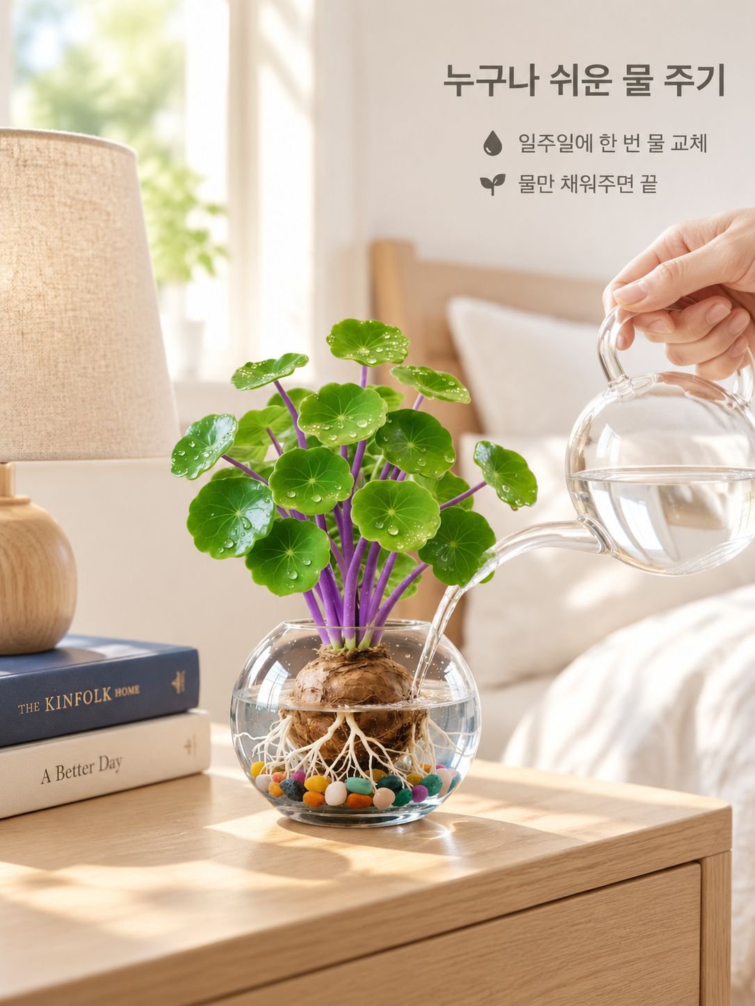 수경 관엽 식물