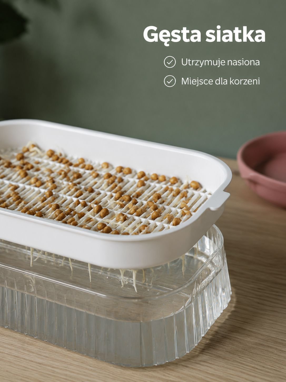 Pojemnik do uprawy kiełków wodnych