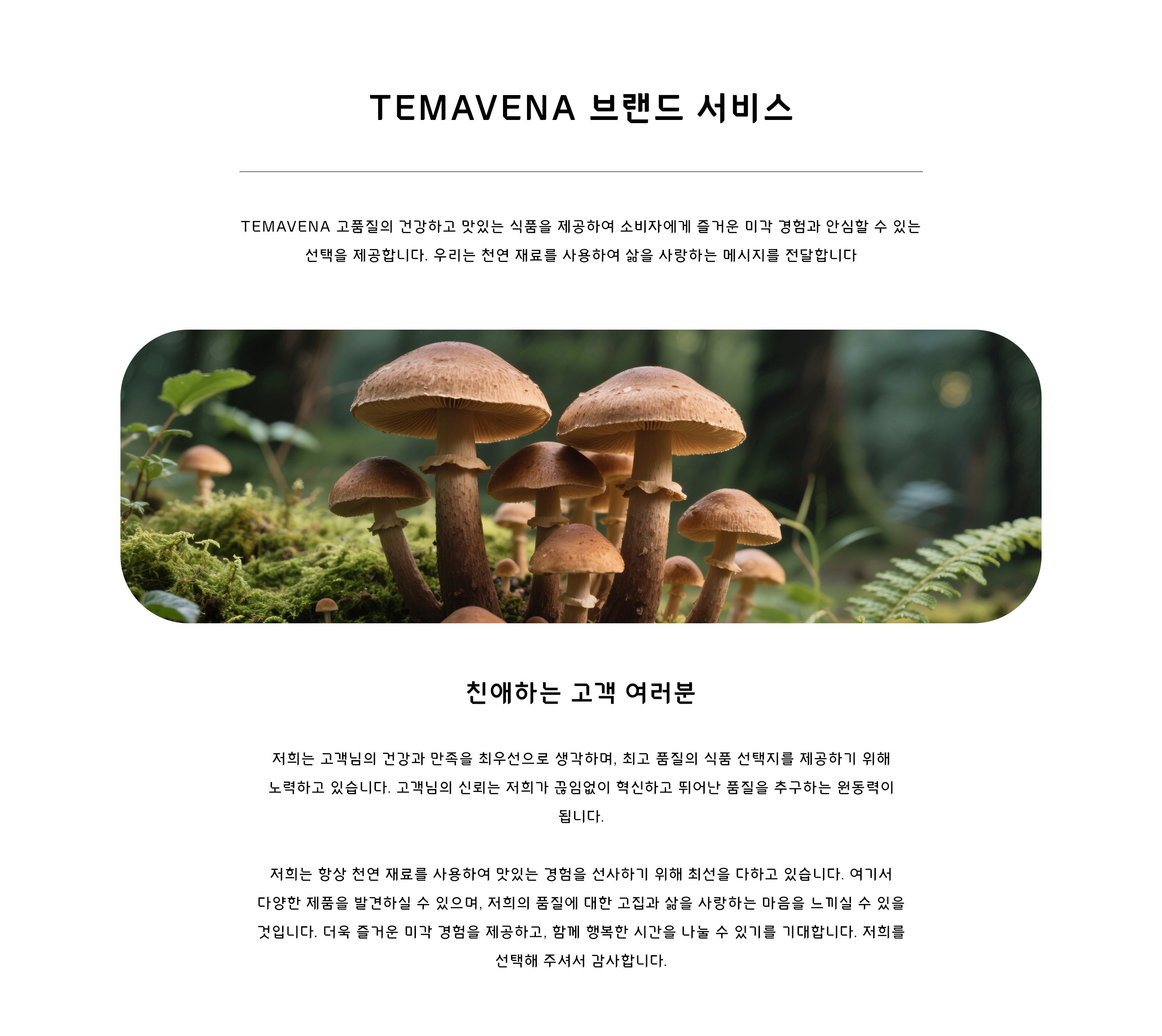 temavena.com