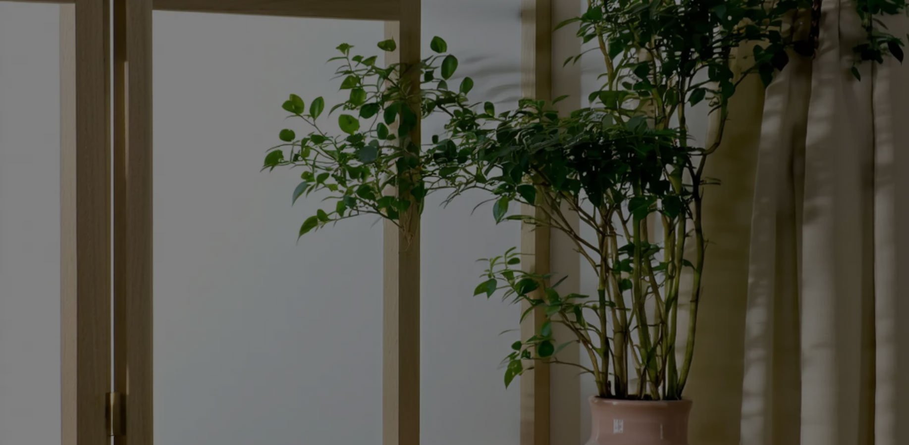 Online shopping MALL