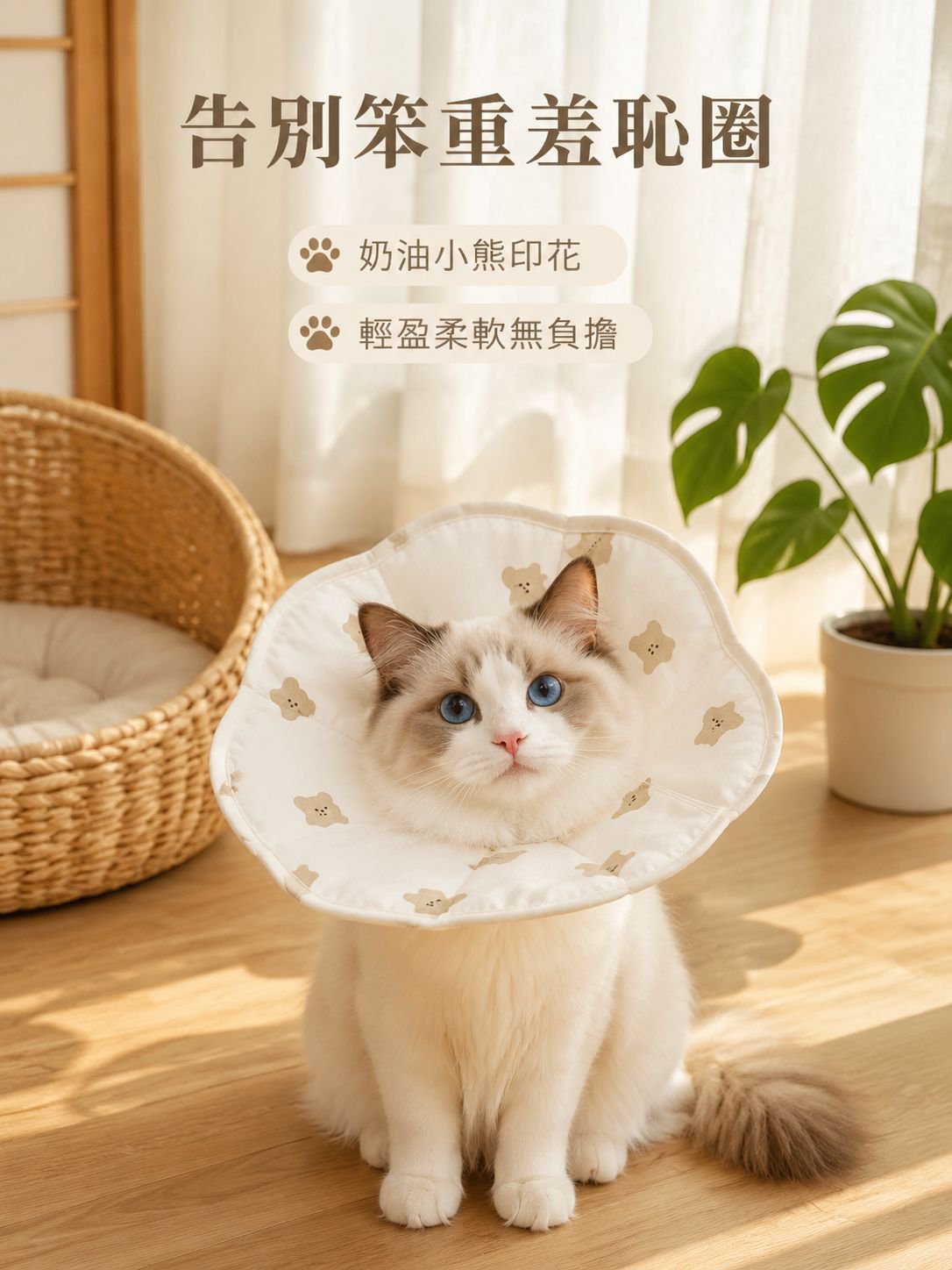 貓用防抓防舔保護圈