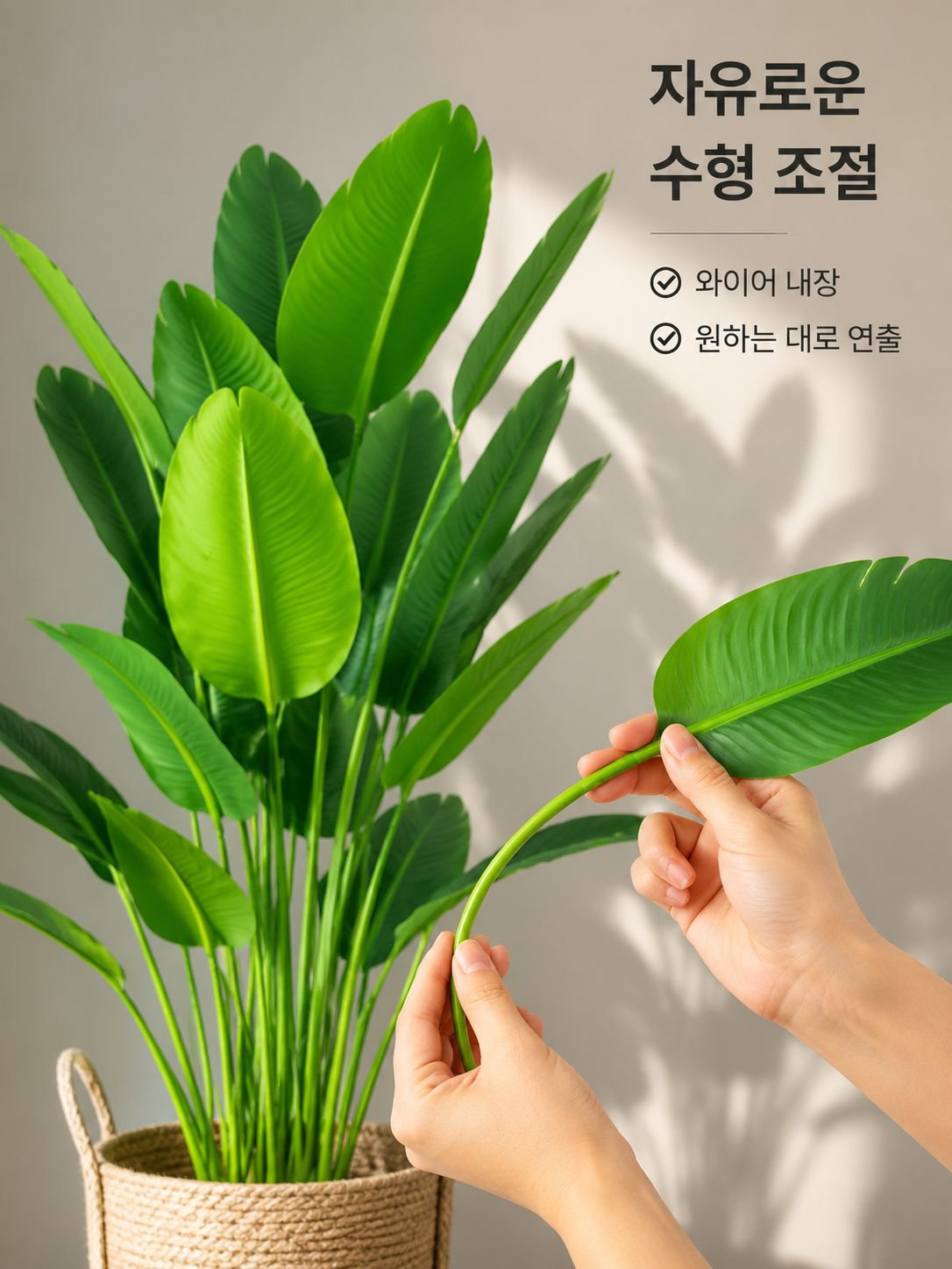 생체공학적 극락조 분재