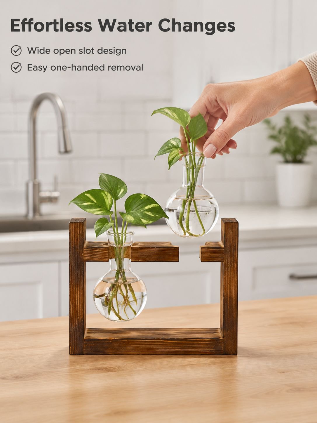 Wooden stand ornament with hydroponic glass vases