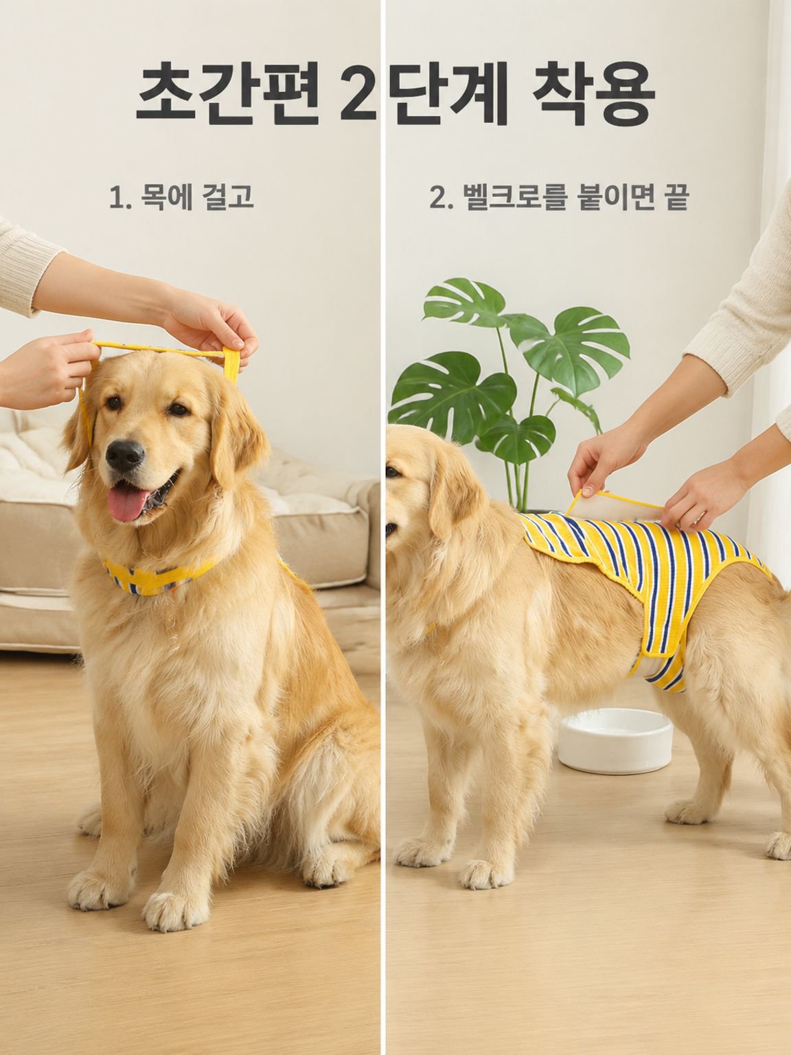 암캐 생리바지 래브라도 생리팬티