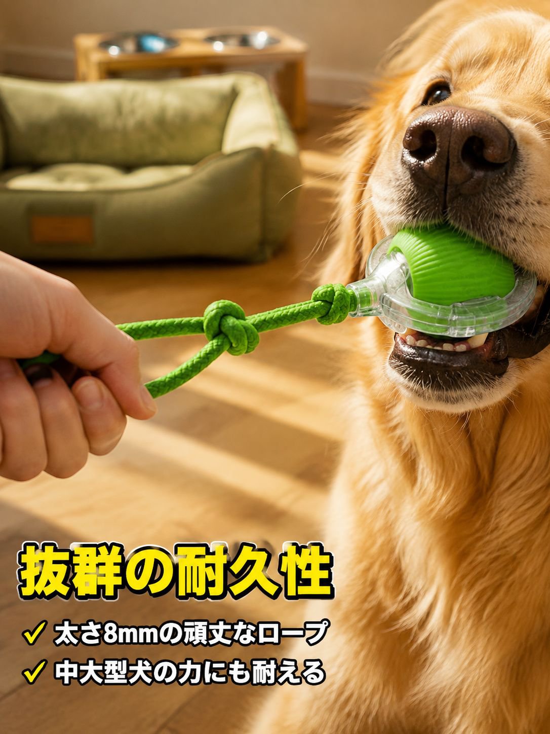 ペット訓練犬の運動種目