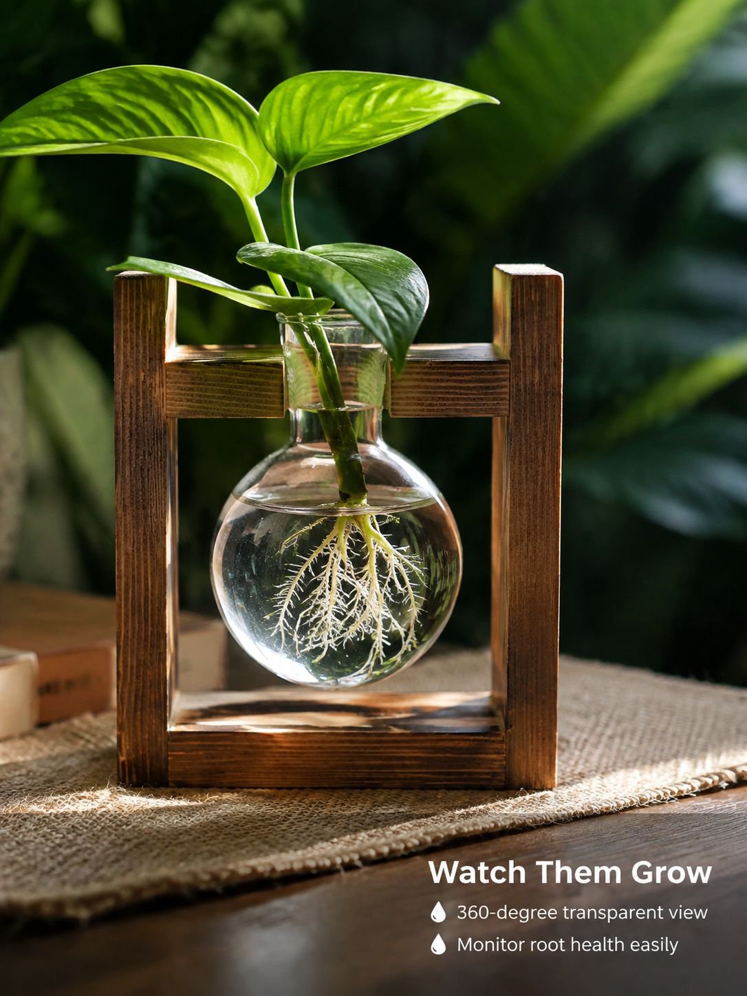 Minimalist glass propagation station for indoor plants