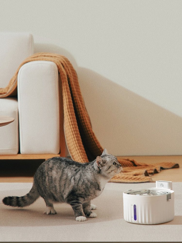 ศูนย์การค้าออนไลน์