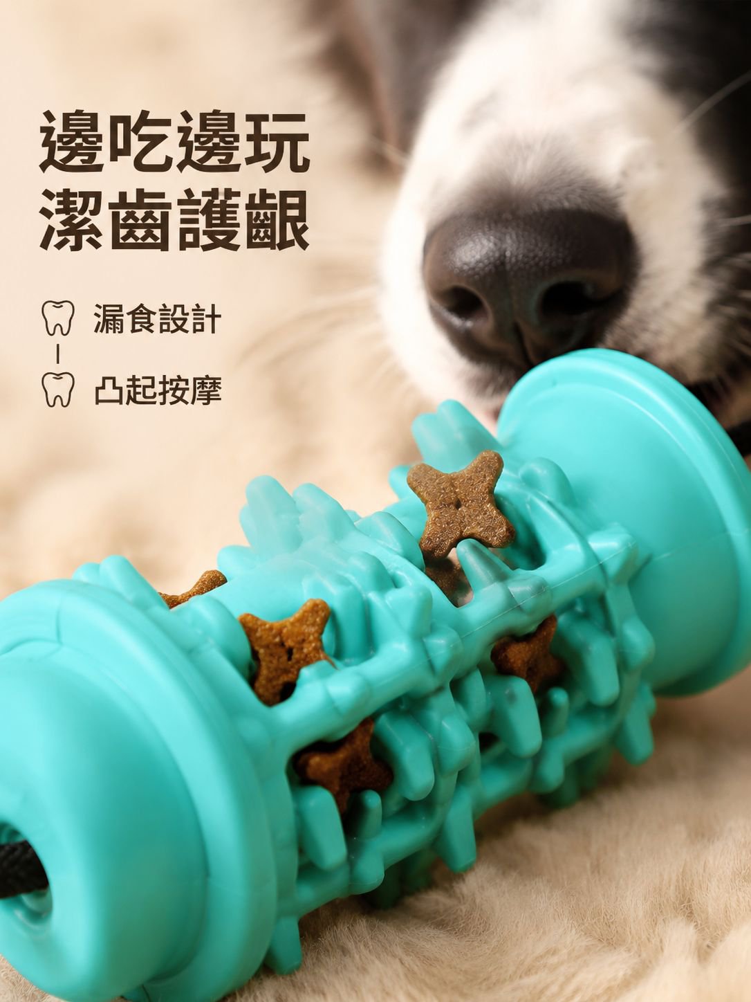 狗狗雙吸盤拉繩玩具