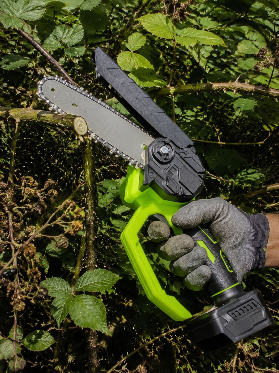 Scie à branche de 8 pouces utilisée pour le jardinage