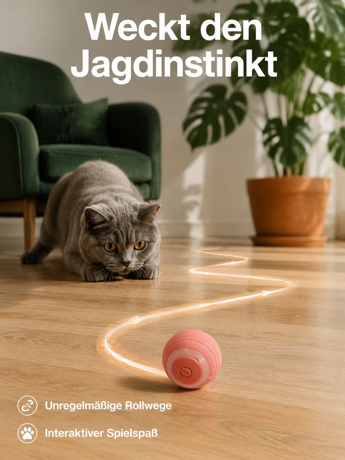 Katzen Springball Spielzeug