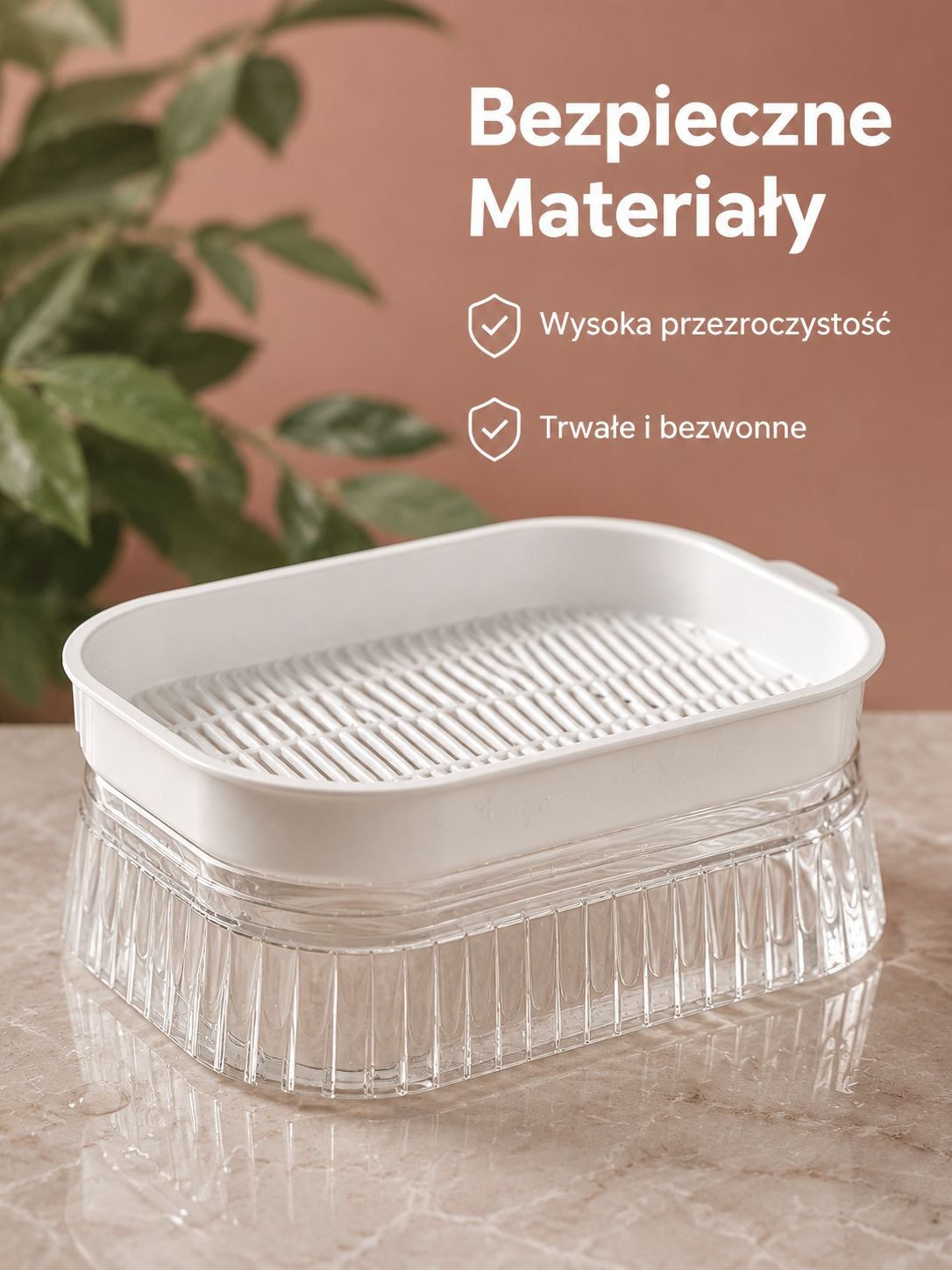 Świeże kiełki rosnące w pojemniku