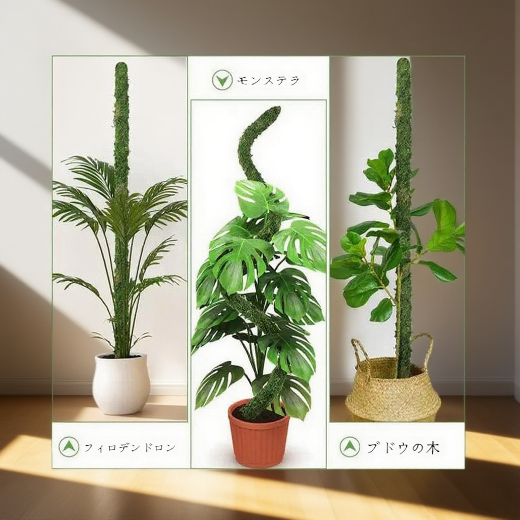 アウトドアで使用するラタンブラケット