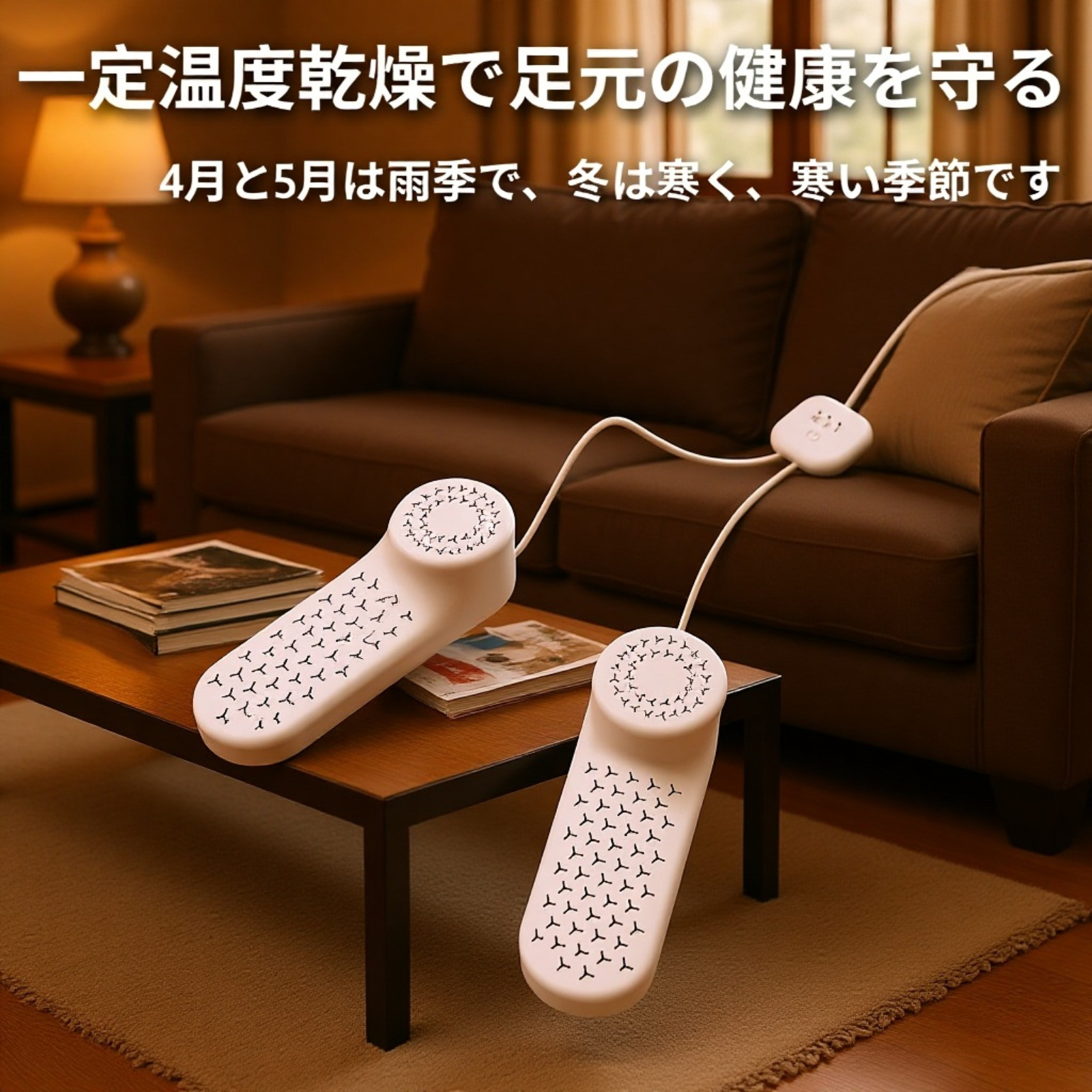 家庭用靴消臭機