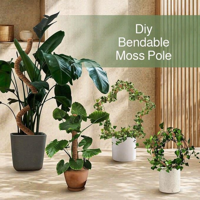 Creative Monstera Support Moss Pole