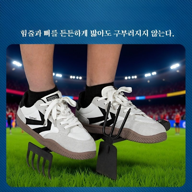 실내 식물로 꾸민 거실 공간