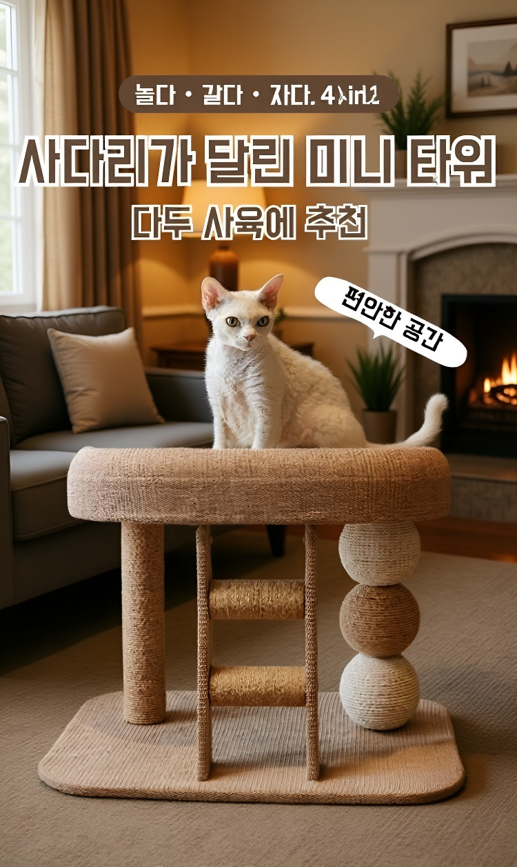 실내에서 사용하는 고양이爬爬대