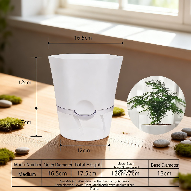 Close-up of succulent in self-watering hydroponic planter