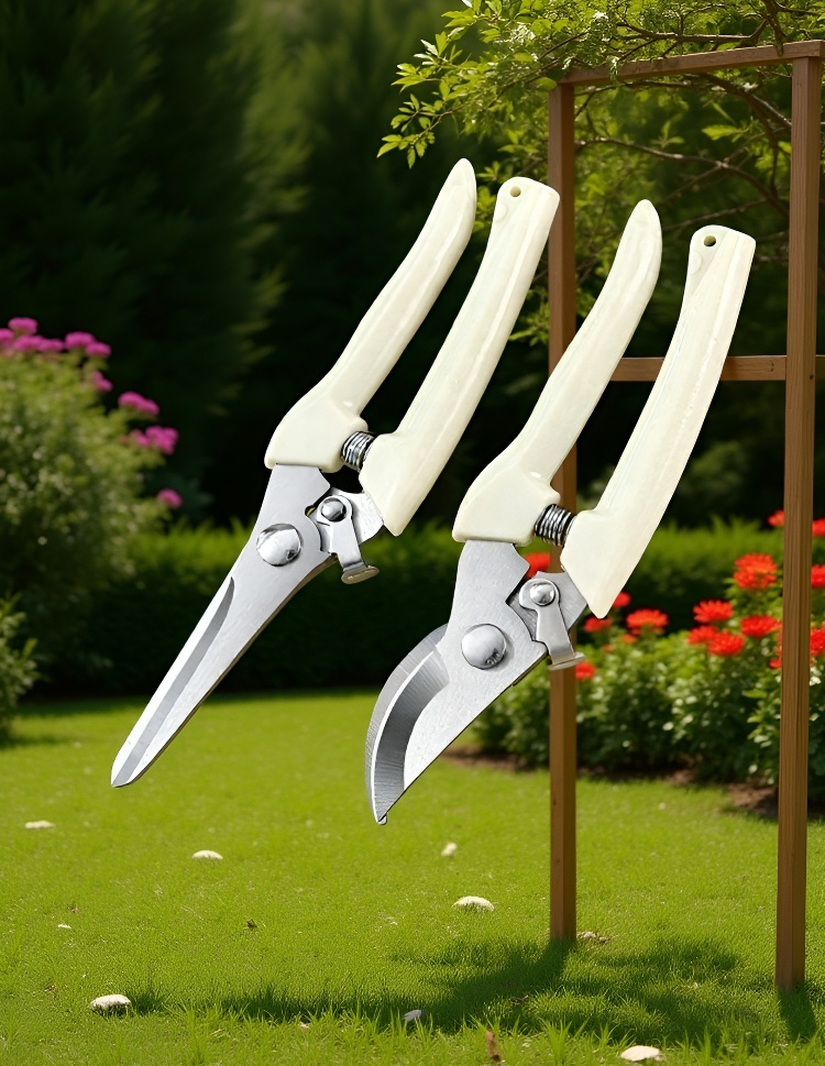 庭木の手入れに最適な剪定鋏のアップ画像