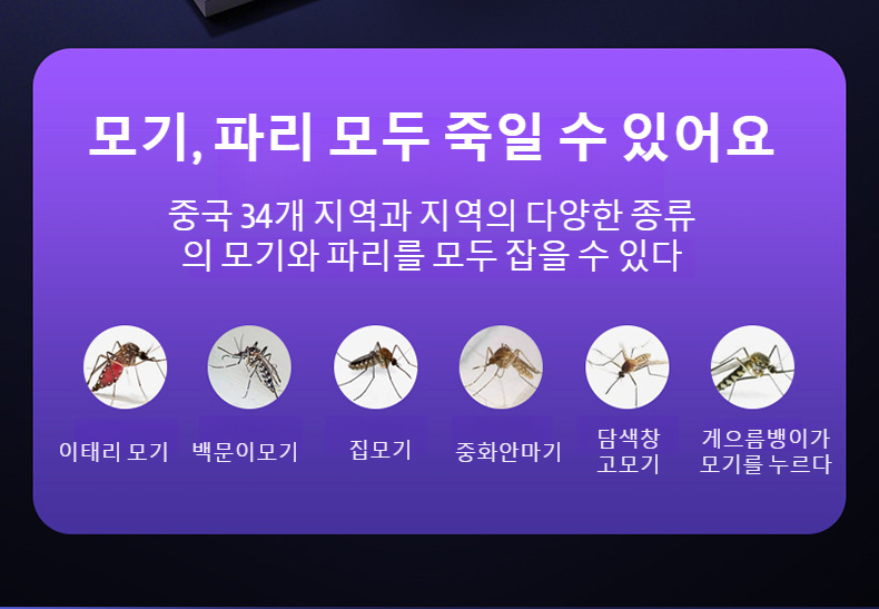 해충 방지 효과가 뛰어난 유모기등