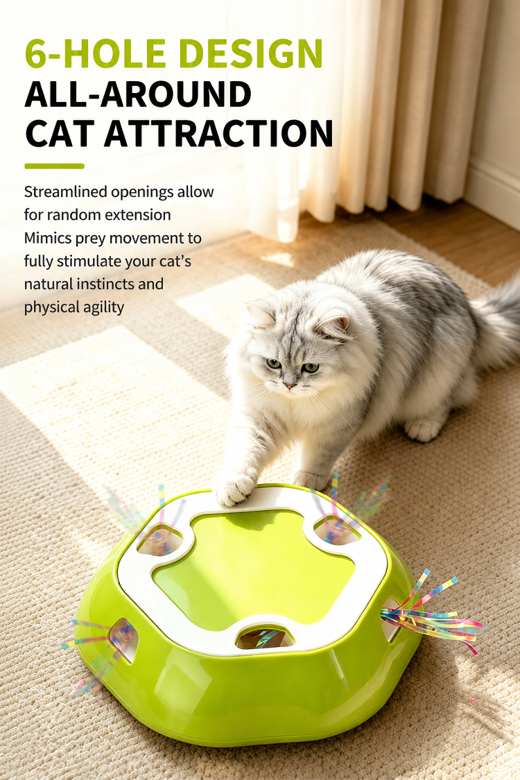 Multi-hole cat activity toy for engaging playtime