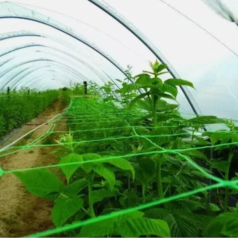 Garden Plant Support Trellis Net
