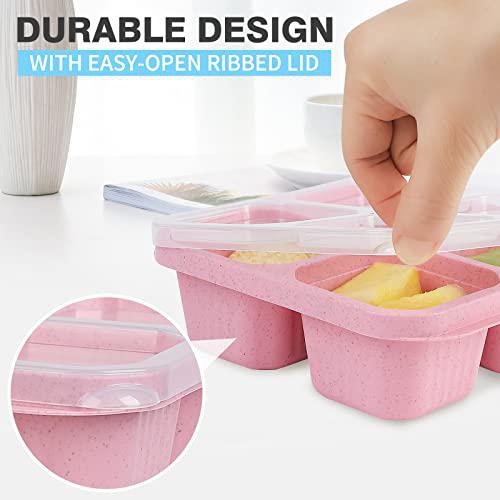 Four-Compartment Lidded Snack Storage Tray