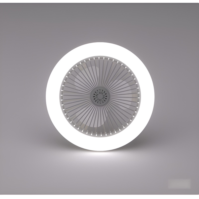 Two-in-one energy-saving lamp for lighting and fan