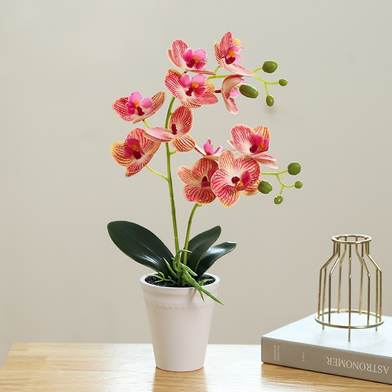 鉢植え植物の装飾品