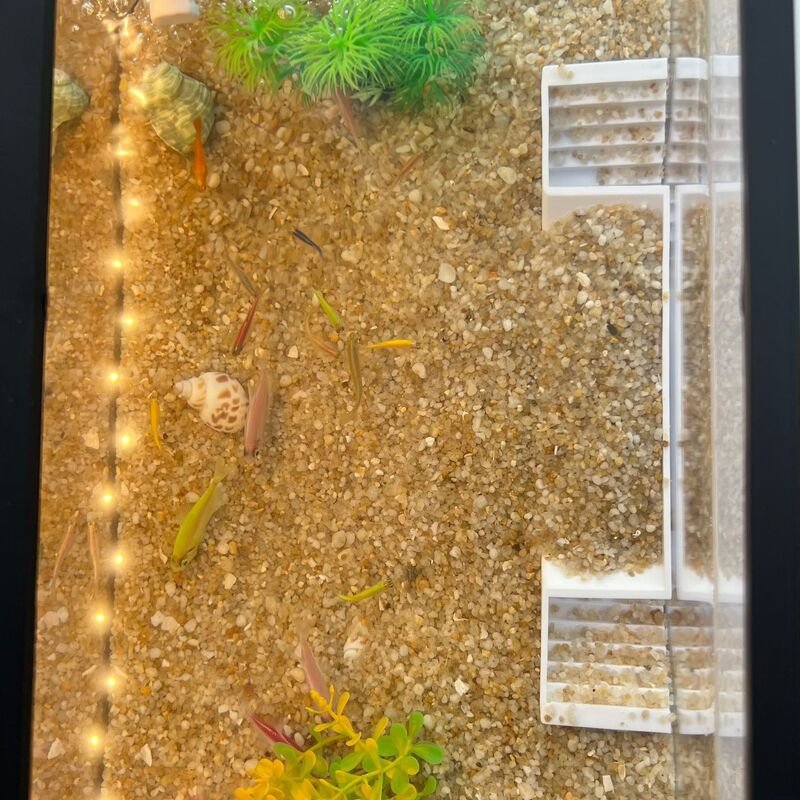 アクアリウム二重穴観魚トンネル