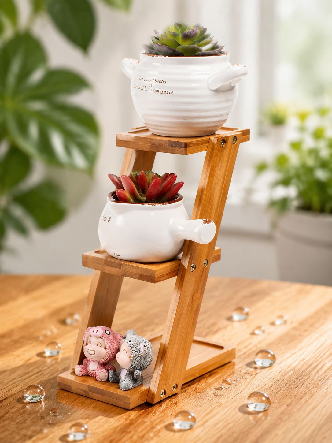 Modern desktop bamboo rack for small green plants