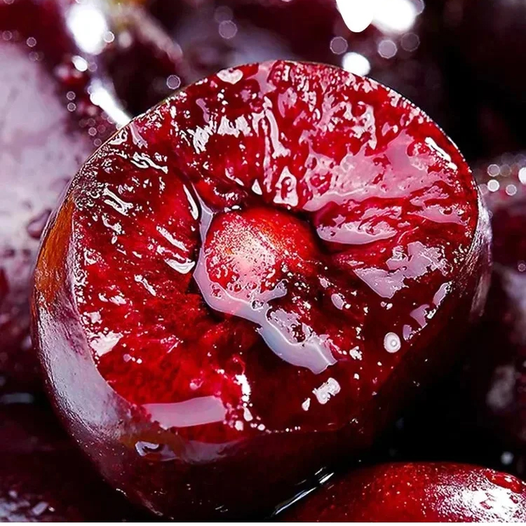 เมล็ดเชอร์รี่