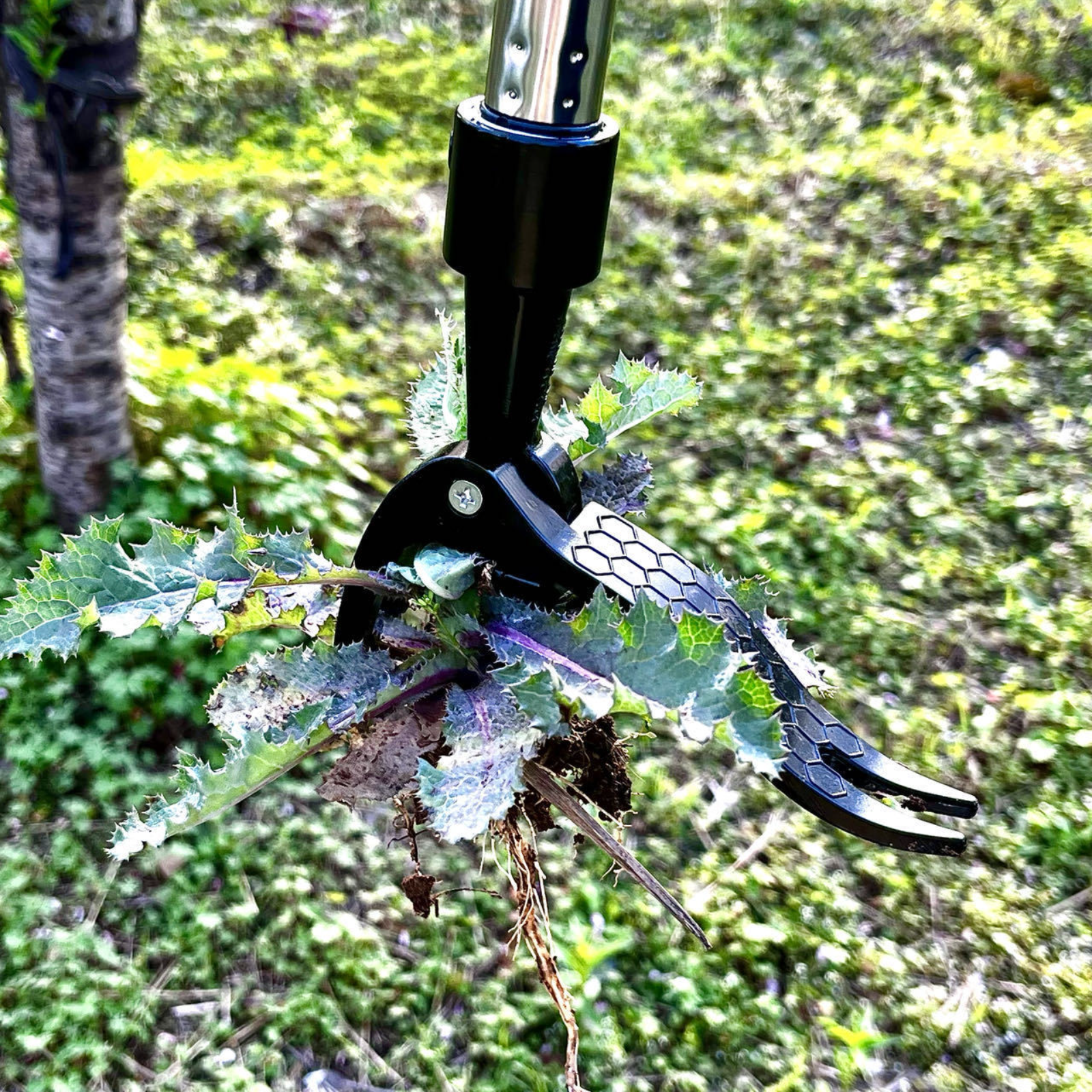 長さ調節可能なスタンド式根こそぎ除草ツール