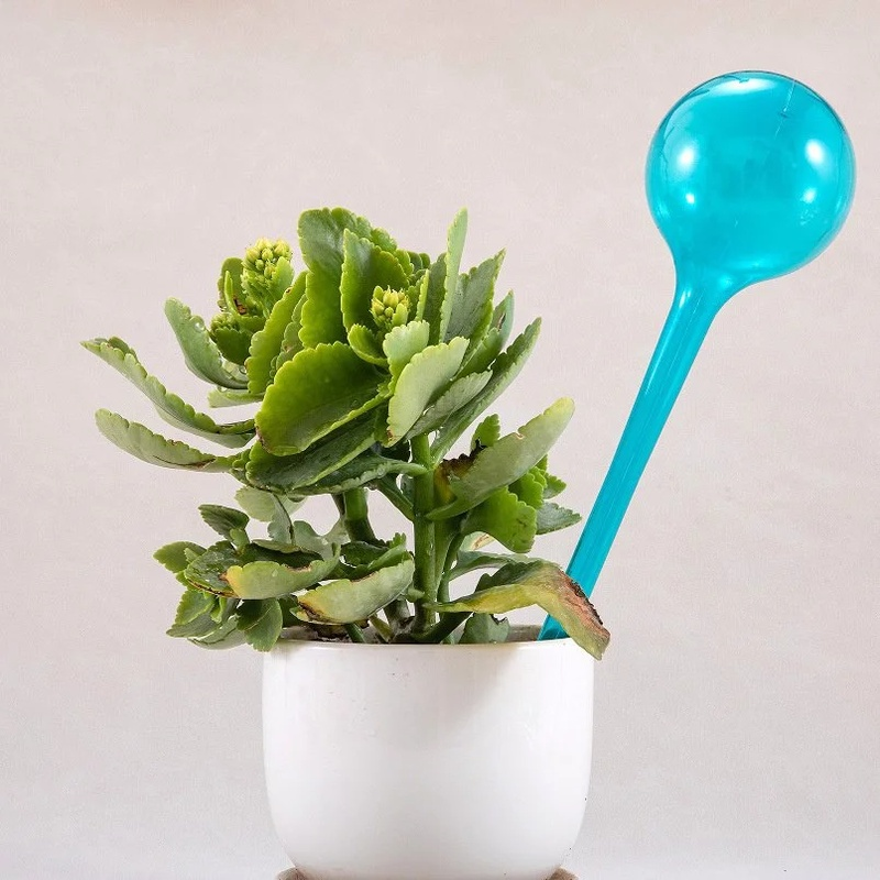 室内観葉植物用自動給水ガラスボール