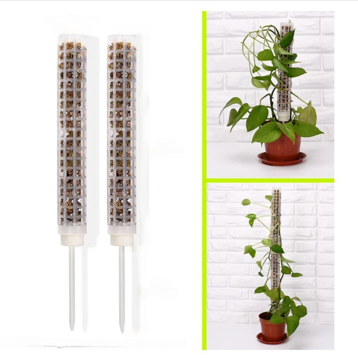 Plastic Moss Poles for Indoor Climbing Plants