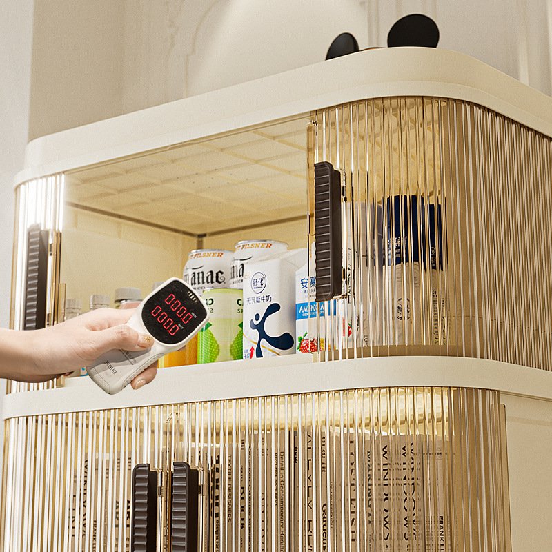 Modern wardrobe organizer for bedroom
