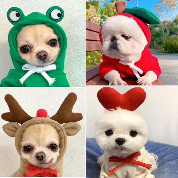 All-Season Fashion Outfits for Pets