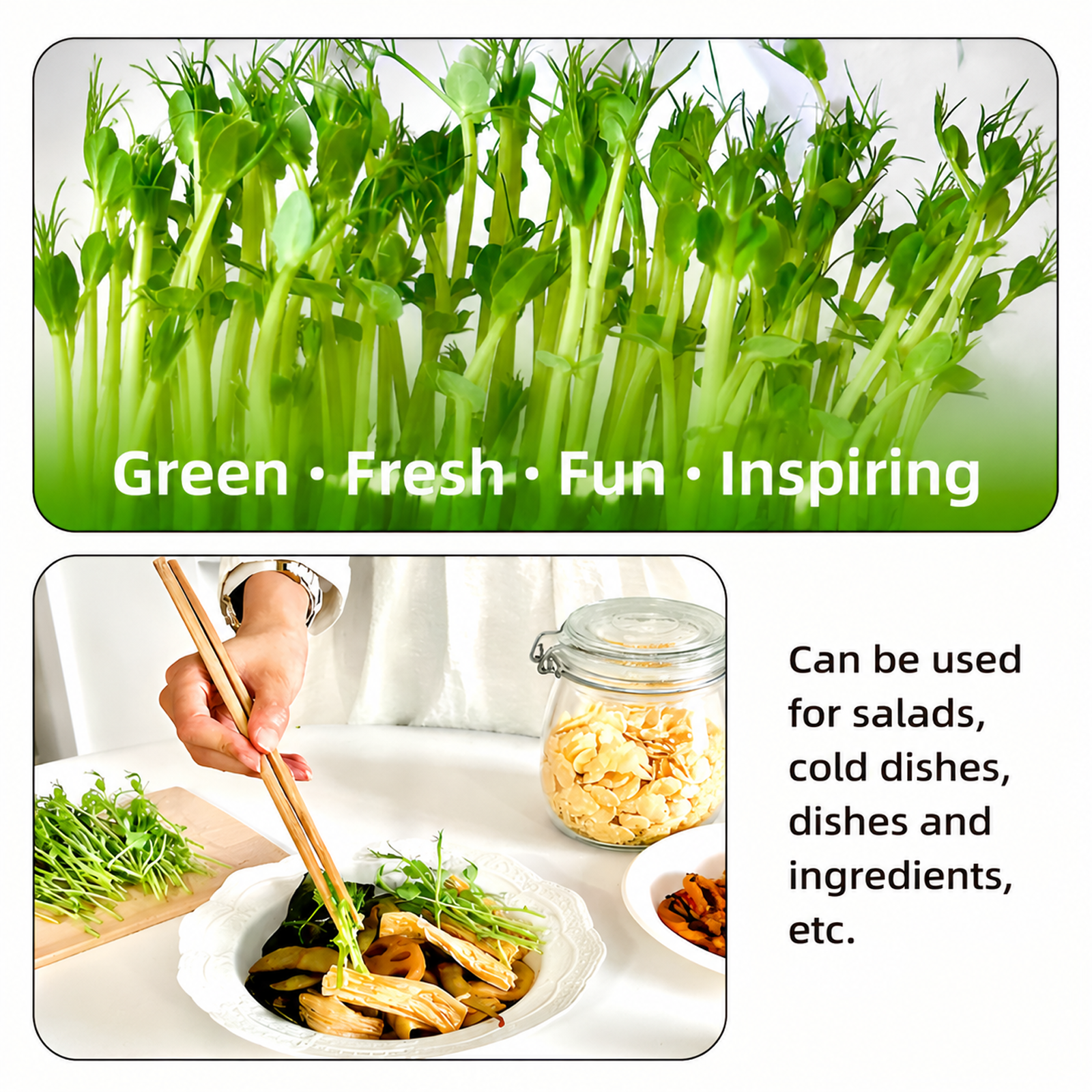 Hydroponic boxes for bean sprouts, hydroponic trays for soilless cultivation, seedling trays for veg
