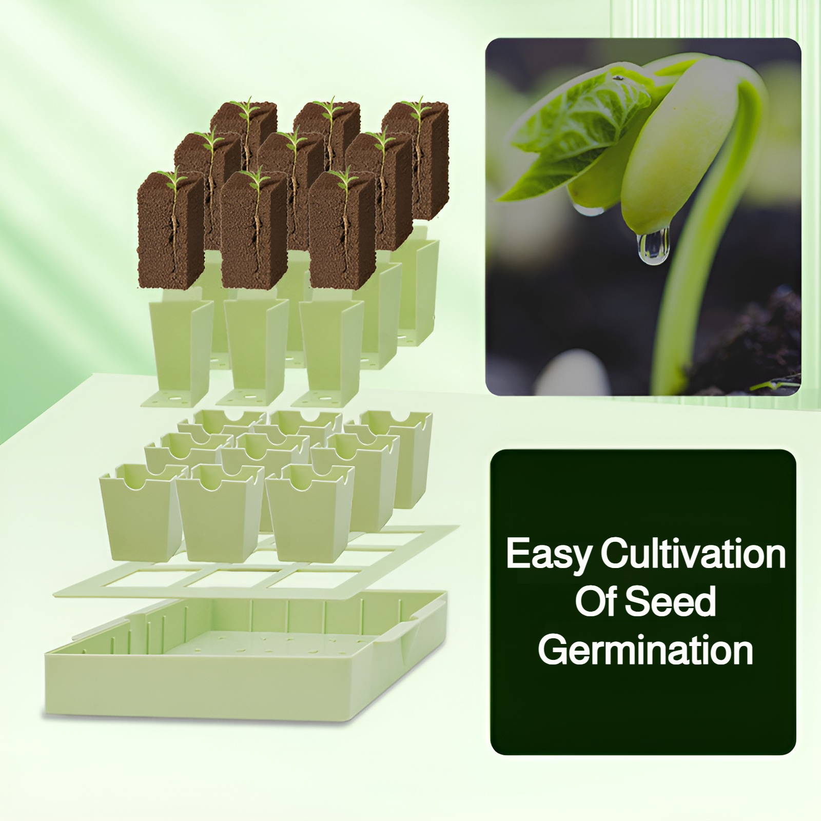 Bandeja para germinación de semillas reutilizable