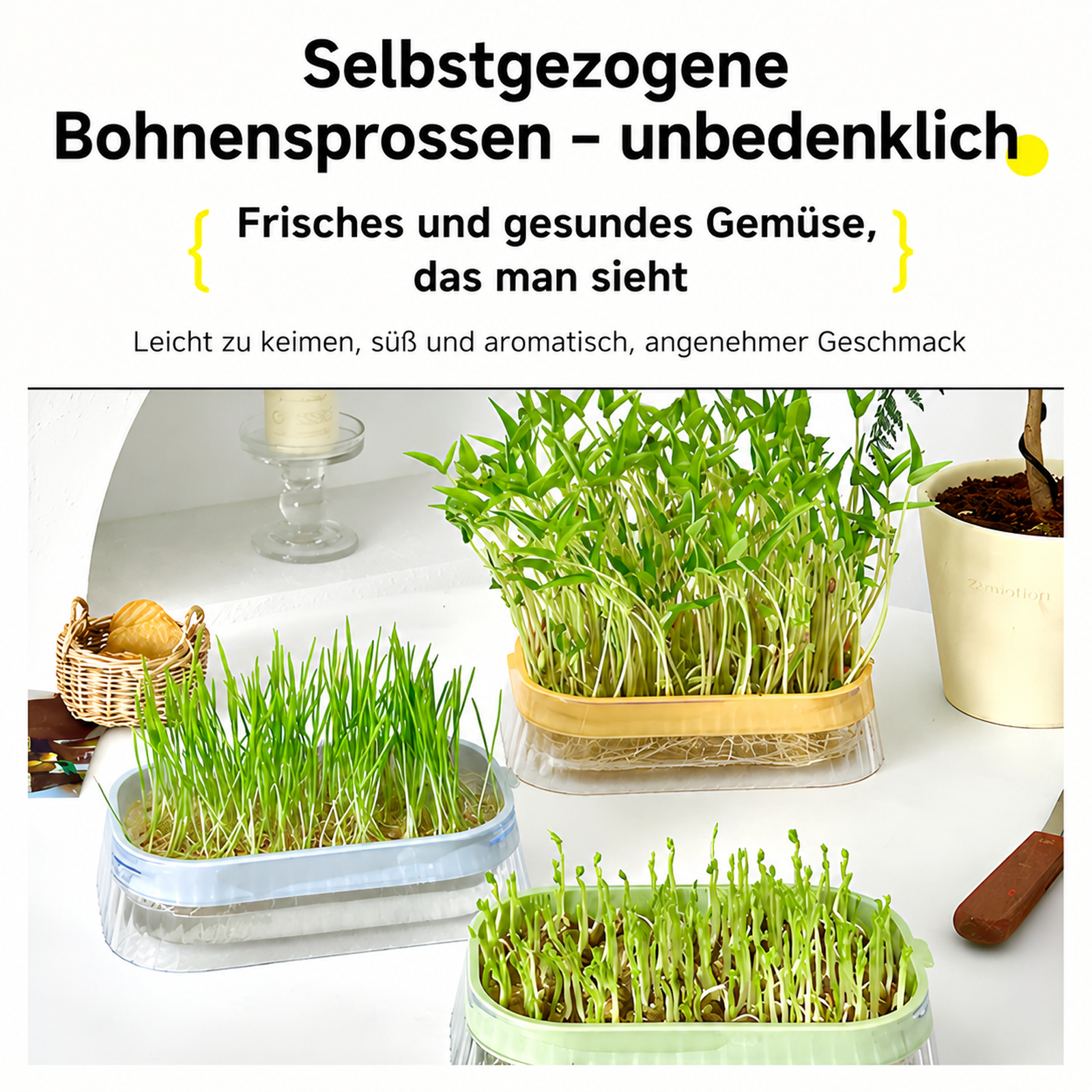 Hydroponische Anzuchtschale für Sprossen