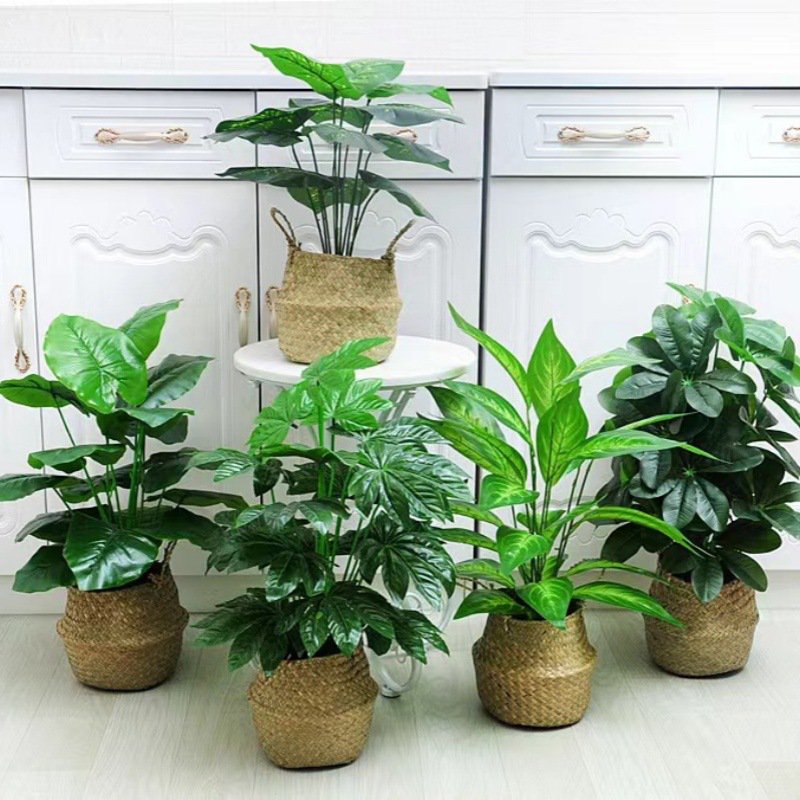 Simulated potted turtle back bamboo leaf artificial flower decoration bonsai