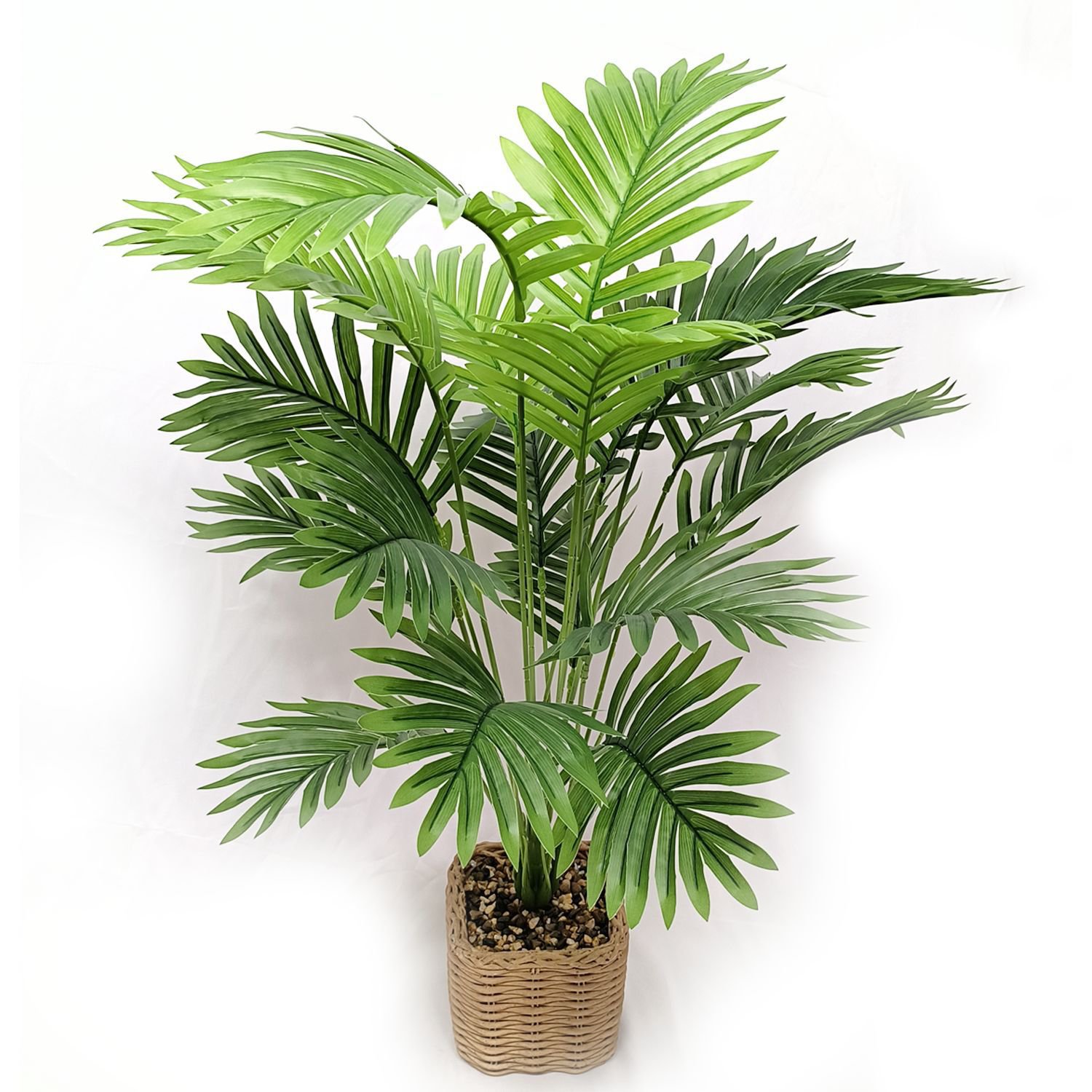 アレカヤシ鉢植え植物