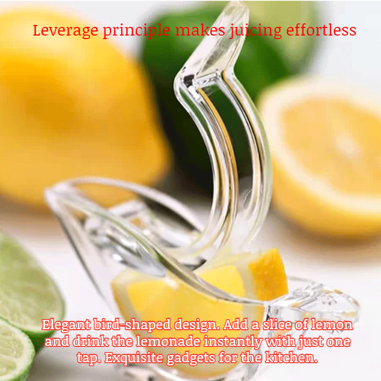 Portable Manual Citrus Juicer