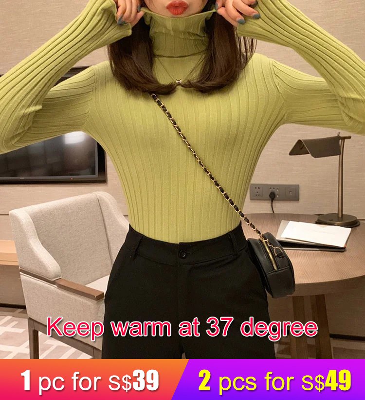 Knit Turtleneck Sweater