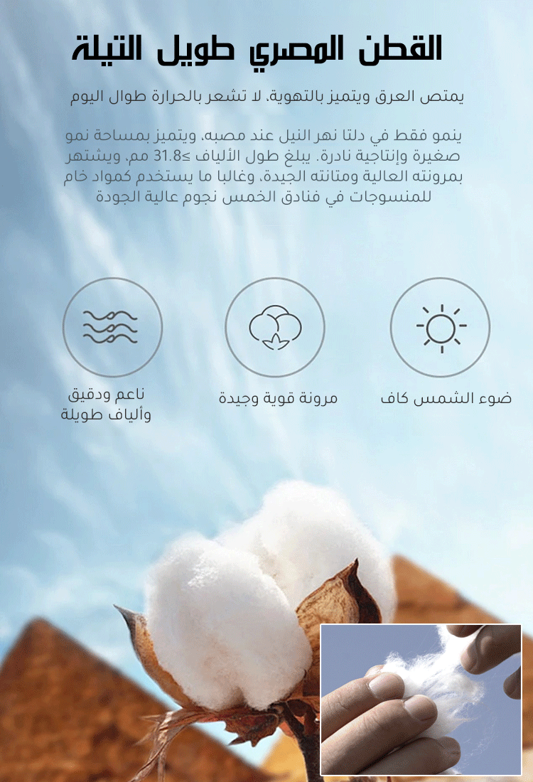 طقم رياضي كاجوال للرجال مكون من قطعتين (مخصص للعائلة المالكة)