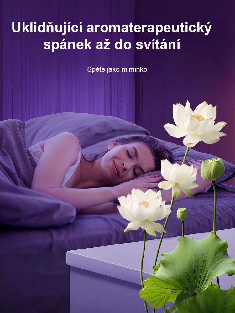 【Překládka štěstí】 Okrasná hydroponická mísa lotos