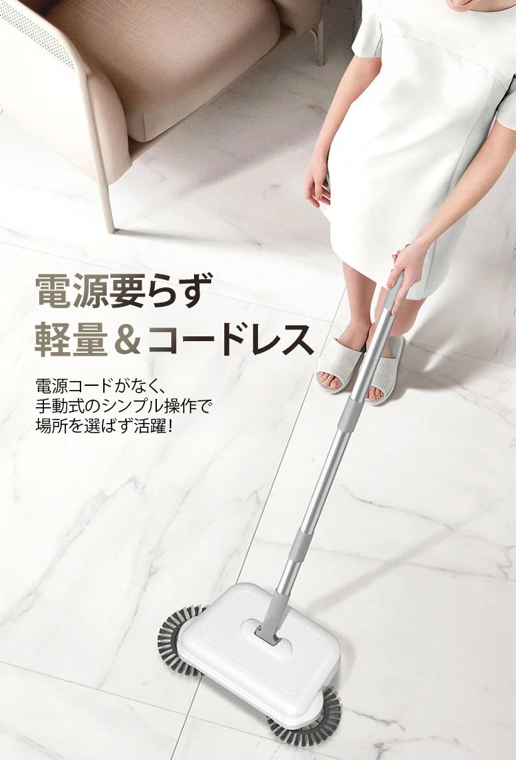 手押し式スイーパーの全体画像