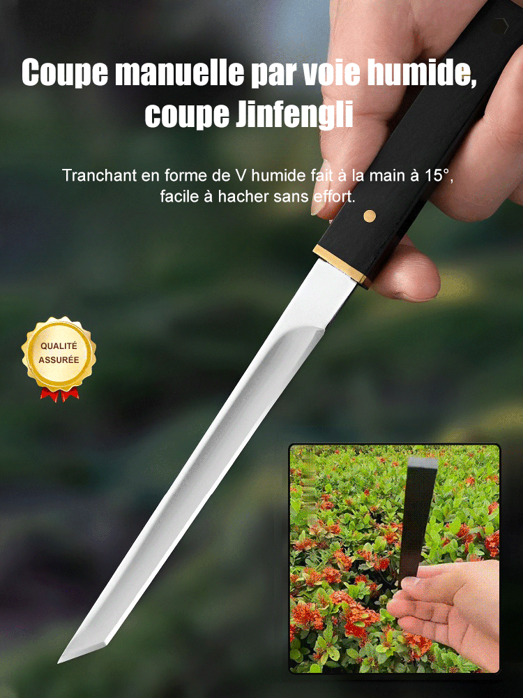 Couteau à fruits multifonctionnel en ébène