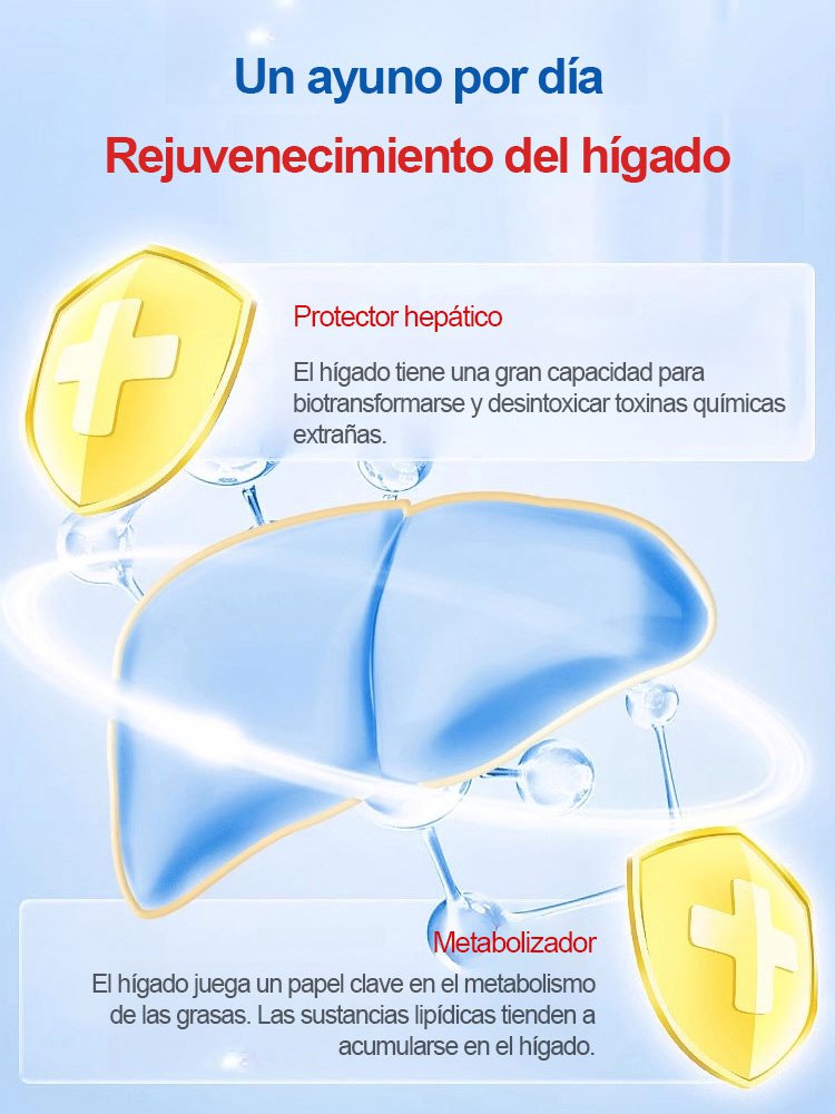 Herbal detox hepatoprotector patch