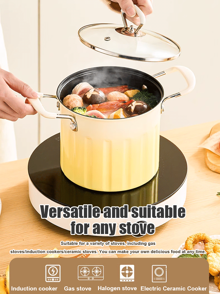 Gradient color large-capacity fryer with filter