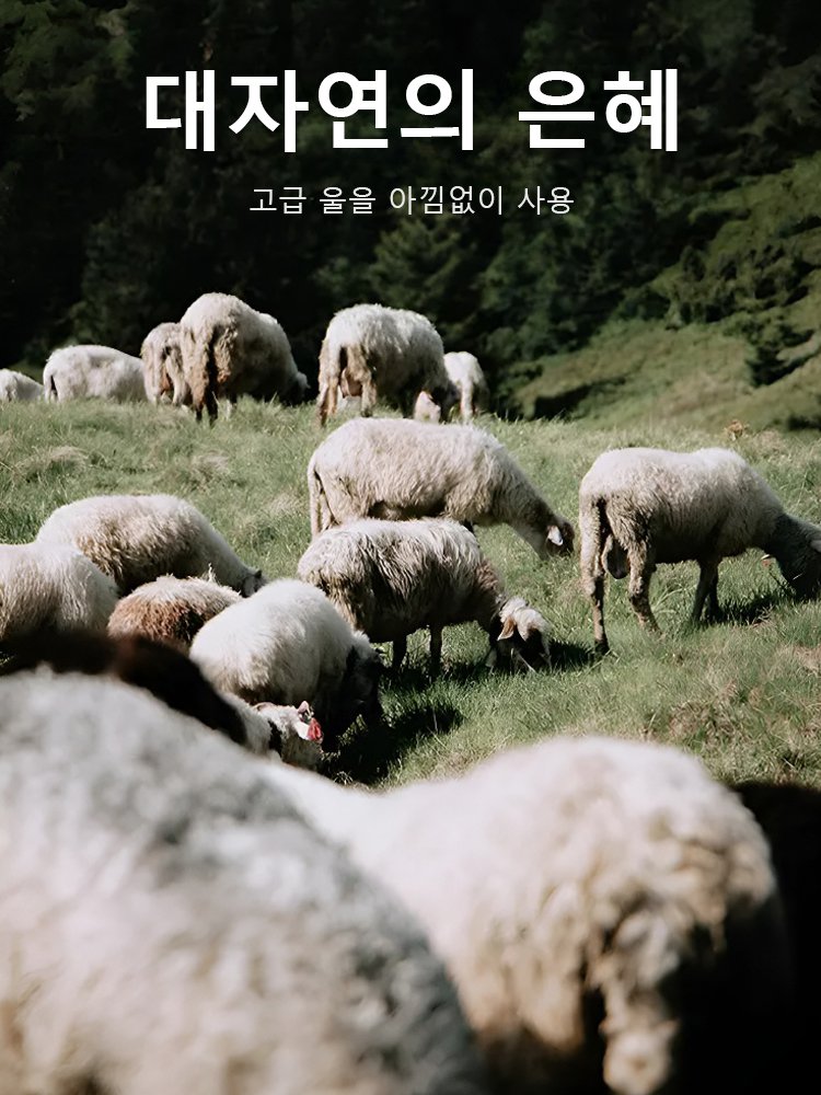 [날씬해 보임] 캐주얼 체크무늬 여성용 모직 코트